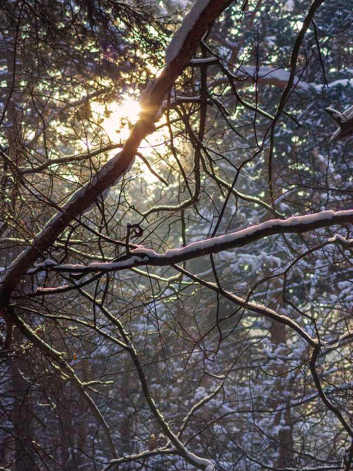 ������ ���