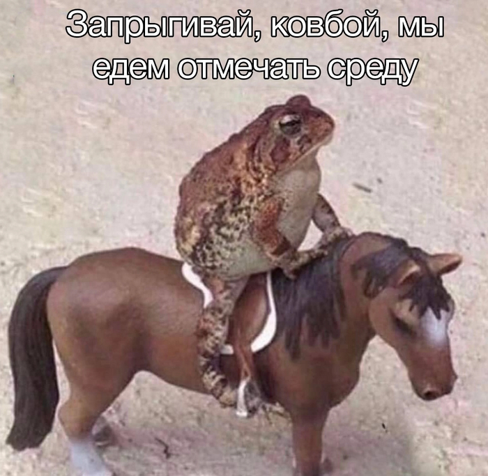 Wednesdey ,   , , , It Is Wednesday My Dudes, 