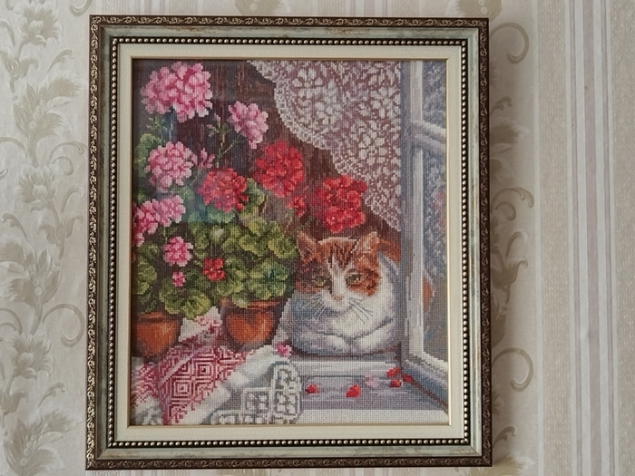 Кот и герань, наконец оформила в рамку работу