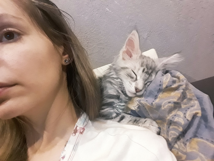 �� ������...