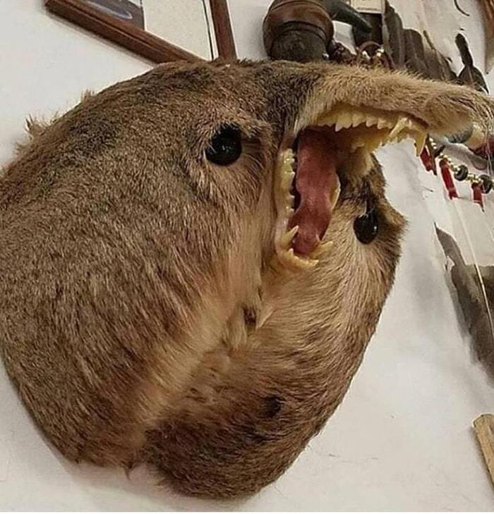     ,   , 
