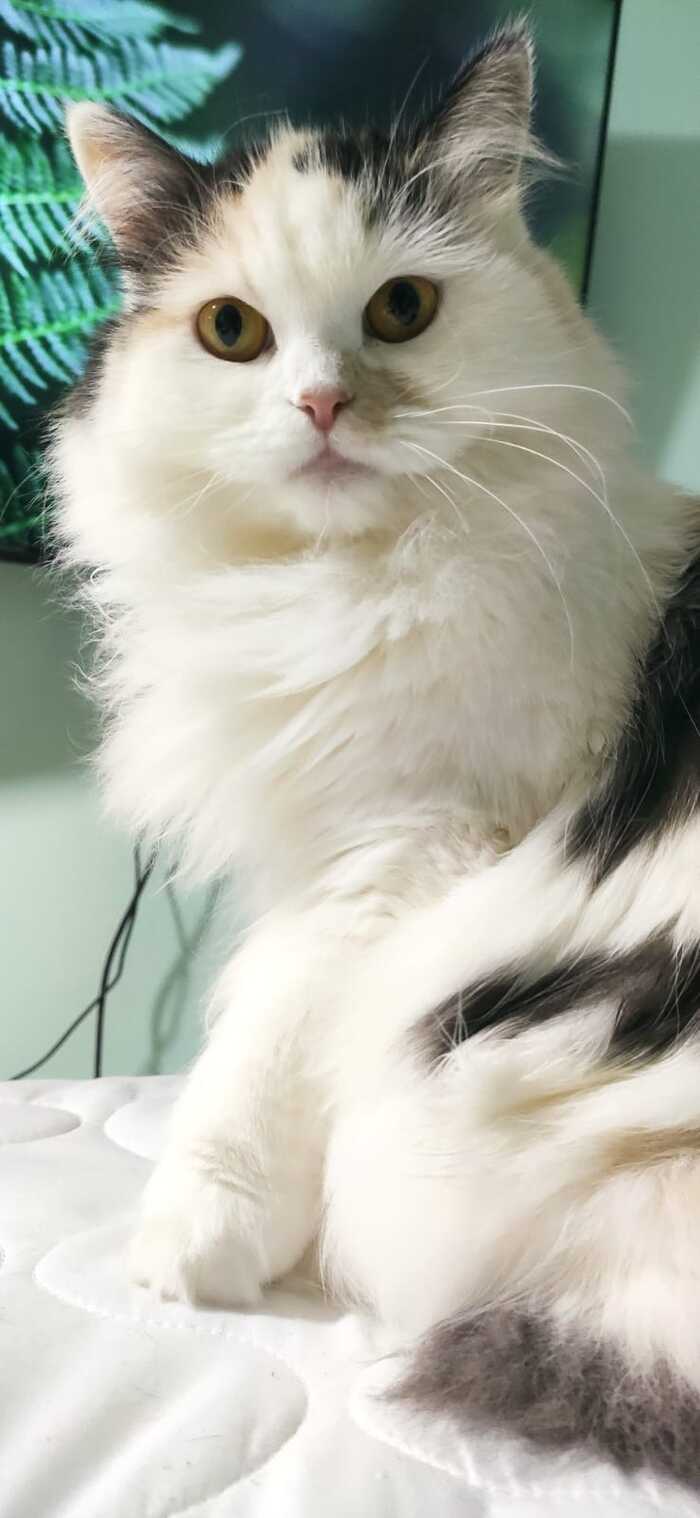 ,       ,  , , , 