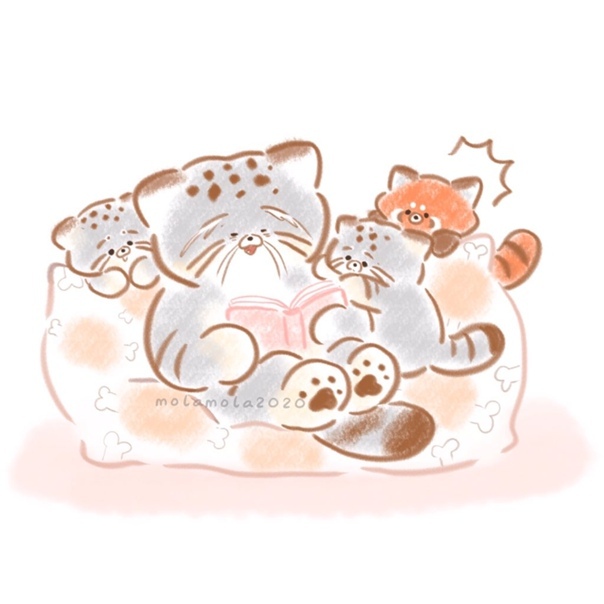 ������ � �����