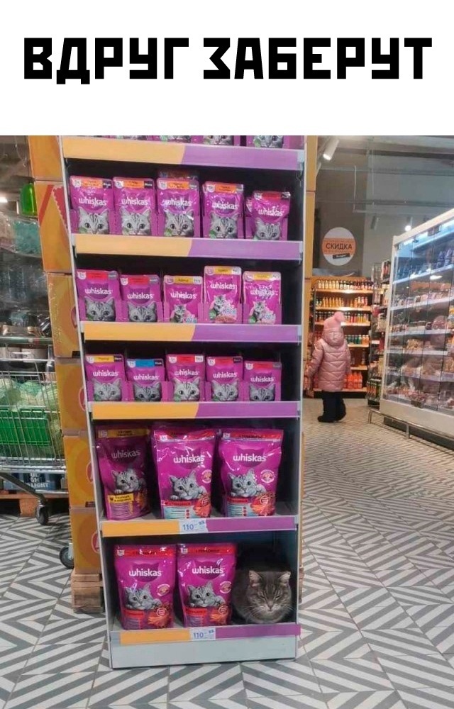 �������� ��� � �������