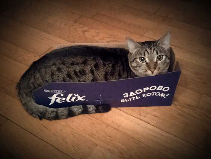 �������� ���������, �������� ����� ���������