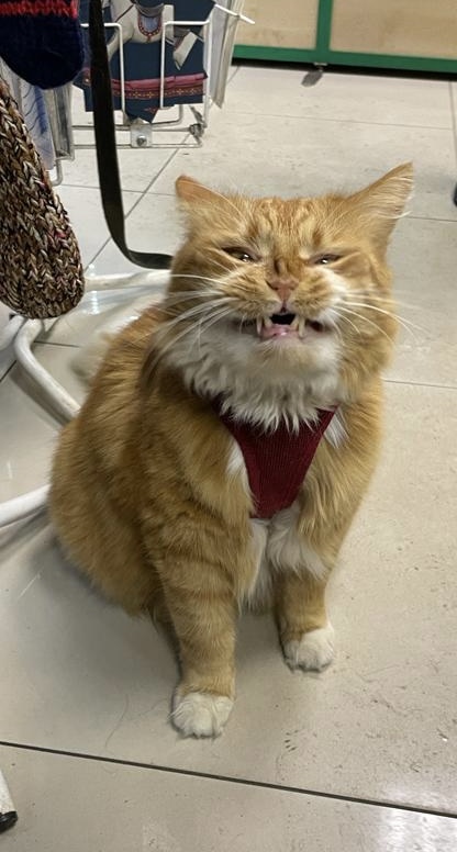 Когда тебе рады,но не очень