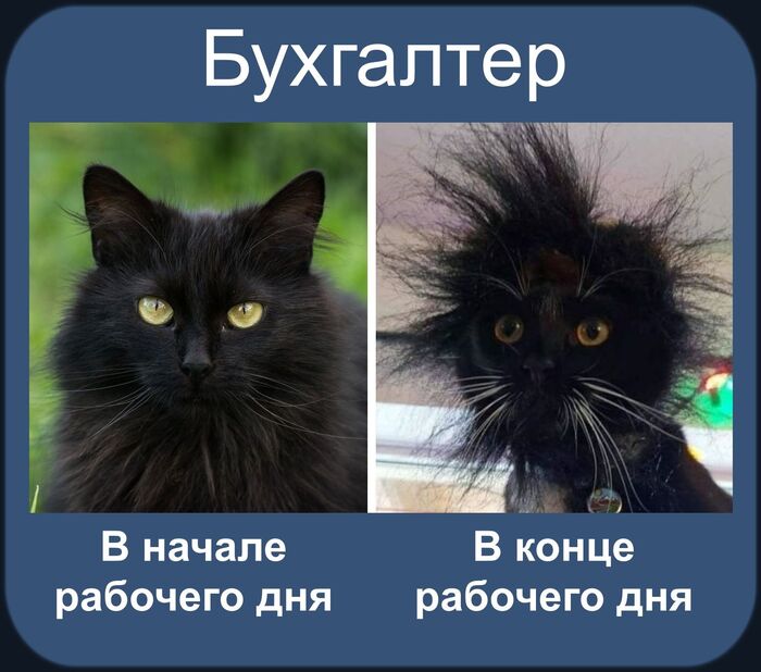 Работа на выгорание...