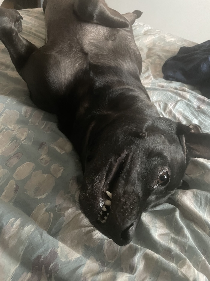 А как прошла ваша суббота?