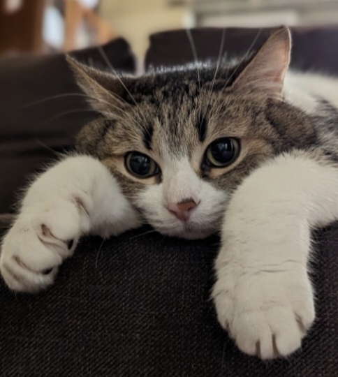  ,  , , , 