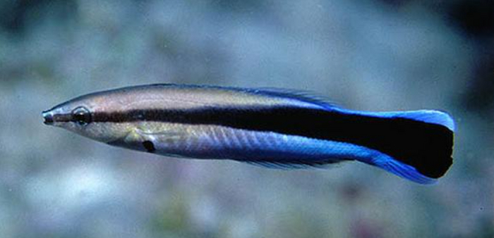 ���� � ����