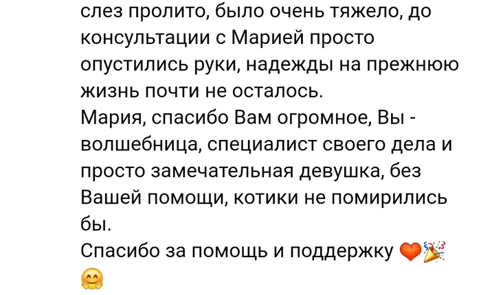 Кейс зоопсихолога "Дружба навеки" Дрессировка, Кот, Домашние животные, Длиннопост