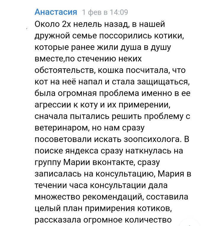 Кейс зоопсихолога "Дружба навеки" Дрессировка, Кот, Домашние животные, Длиннопост