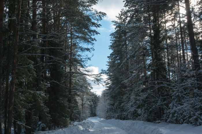 Ответ на пост «Мои зимние дороги 2022 года»
