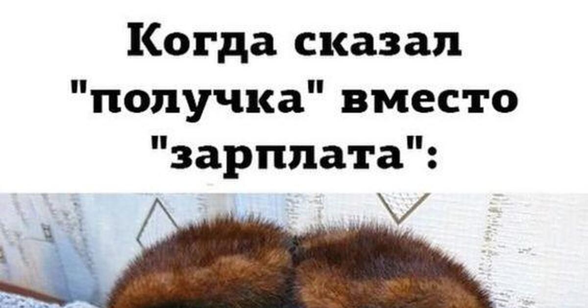 Старость не радость | Пикабу