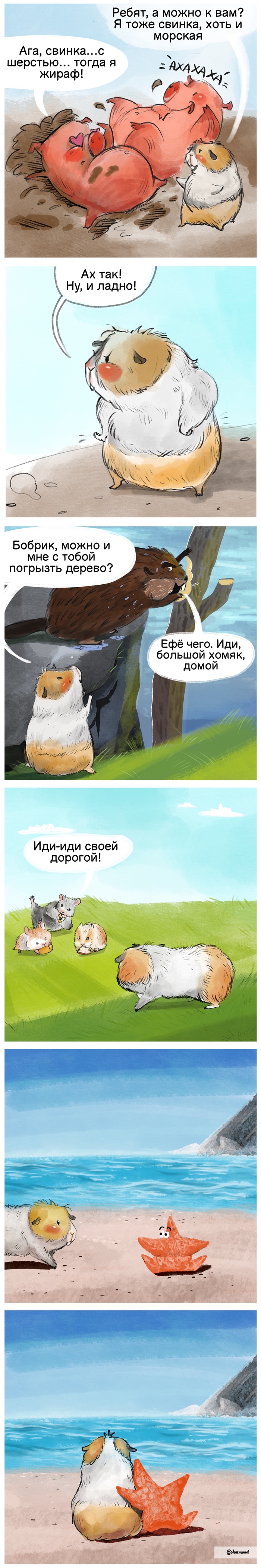 Морская свинка