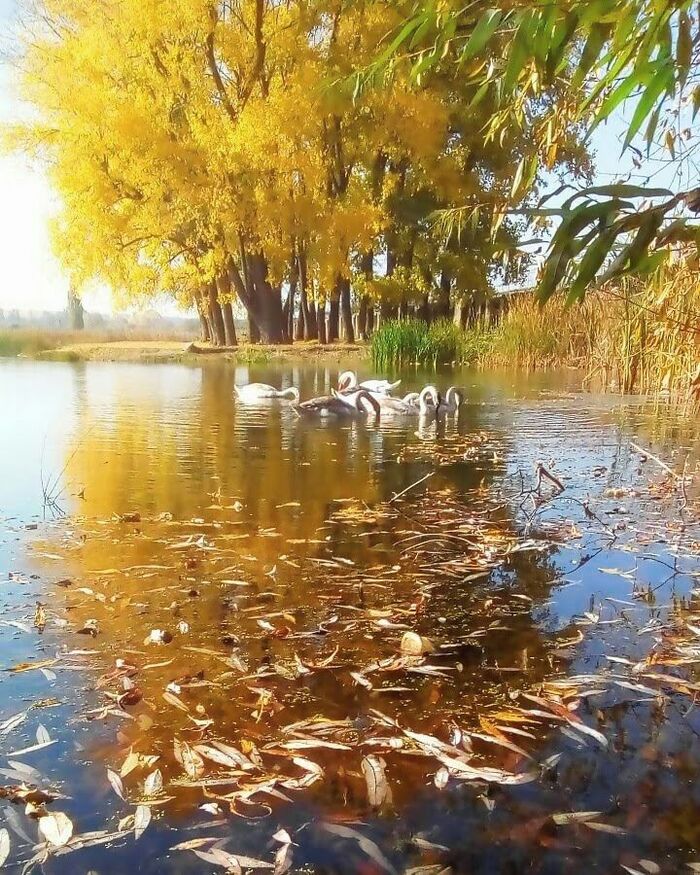 ������� � ������ ������