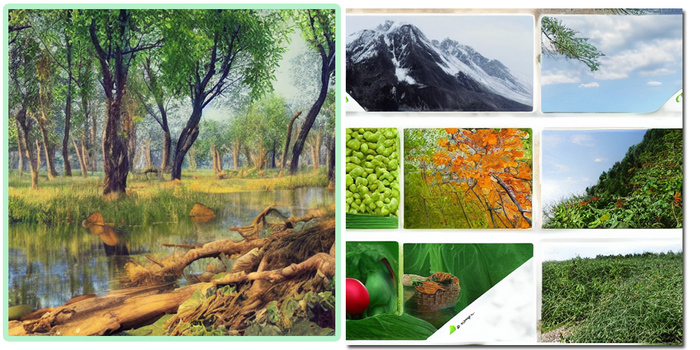 5 полезных советов как заработат на фотостоках