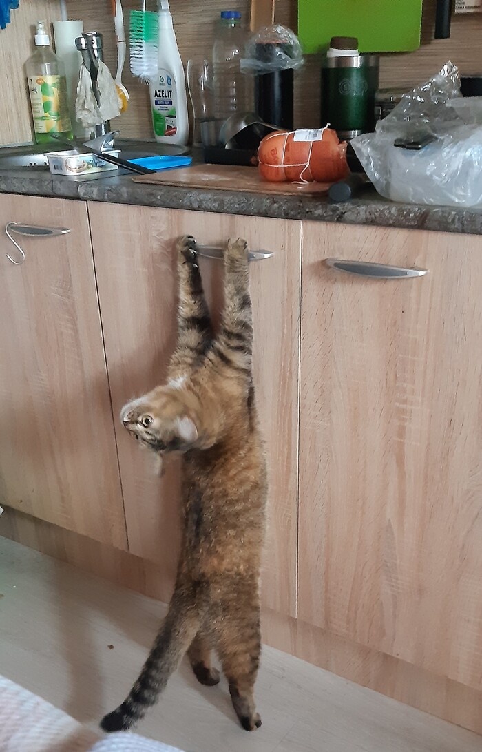 ��� ������.