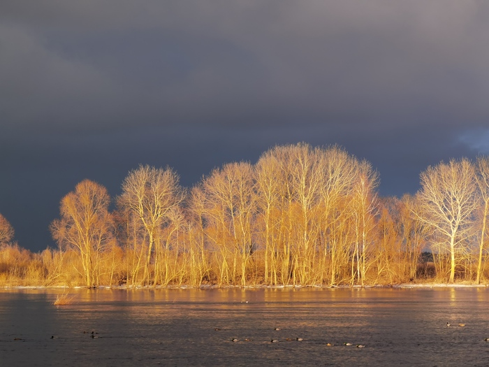 ������ �� ����� � �������