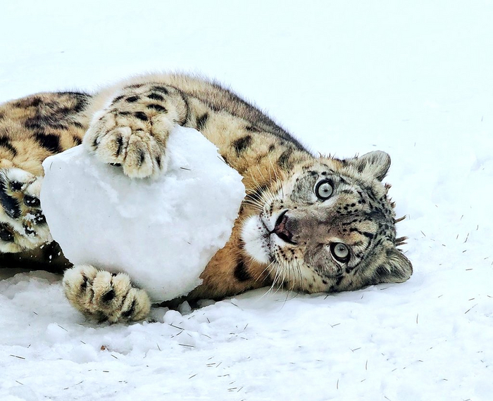 ��� � ������?