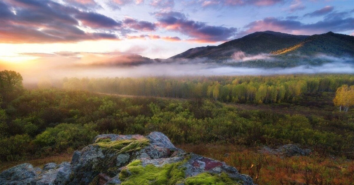 Алтайский заре. Тигирекский заповедник Алтайского. Тигирекский заповедник Алтайского края края. Тигирекский заповедник Алтайского края рельеф. Тигирёкский заповедник дес.