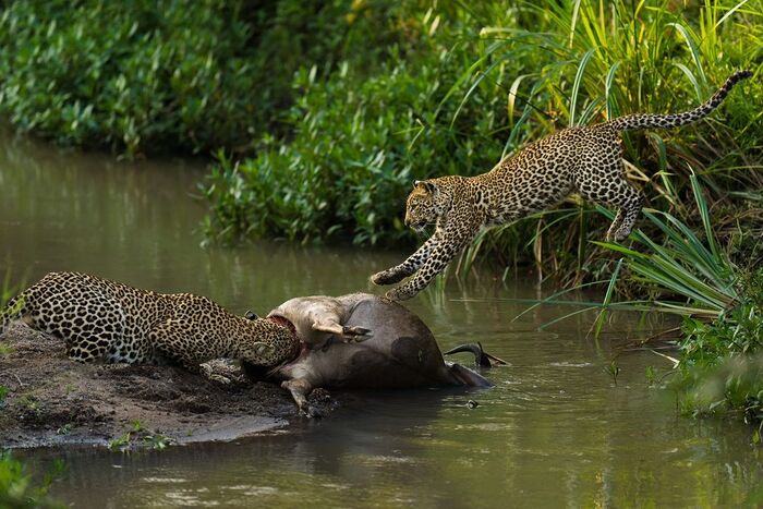 Семейная трапеза