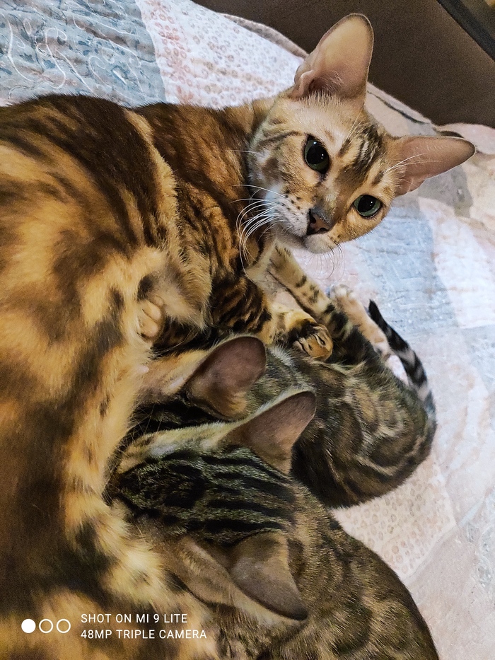 ������ � ������