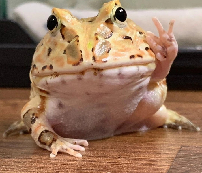,  , !