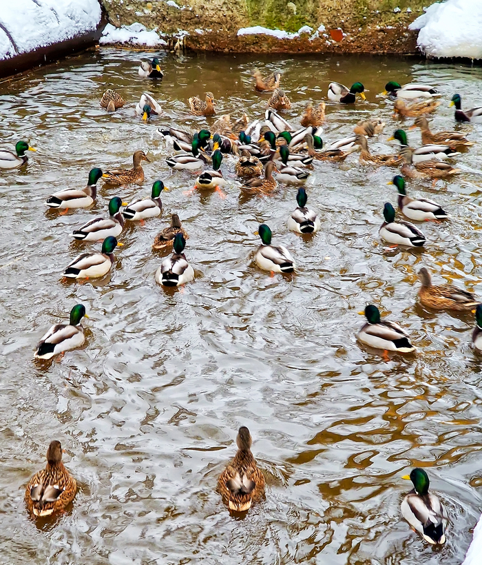 Налетай, хавчик подкинули!