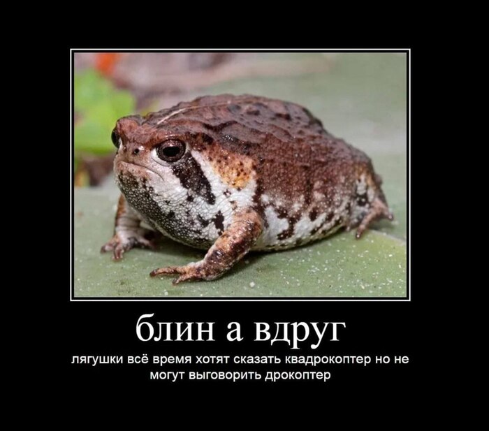 Или просто заикаются