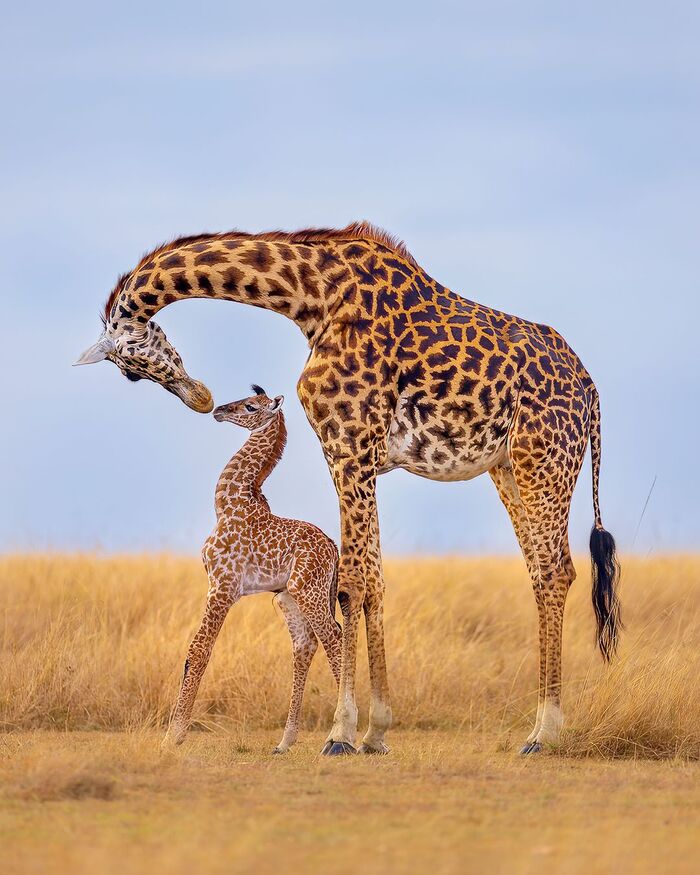 Мать и дитя