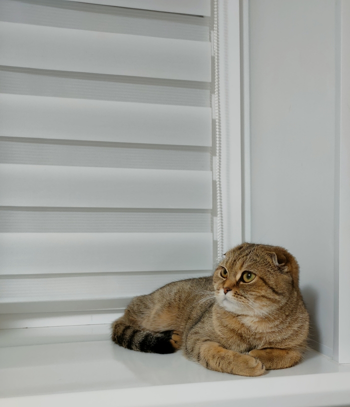 ��������� �����