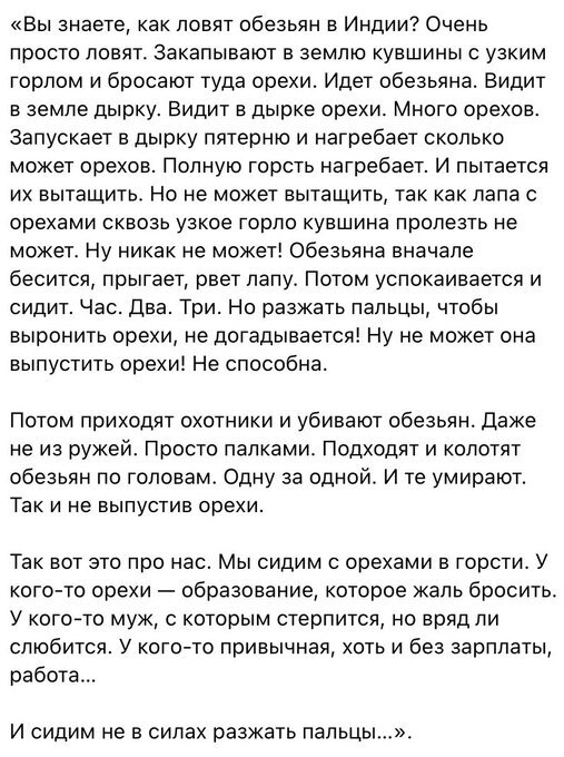 Ты думал, что лучше обезьяны ?