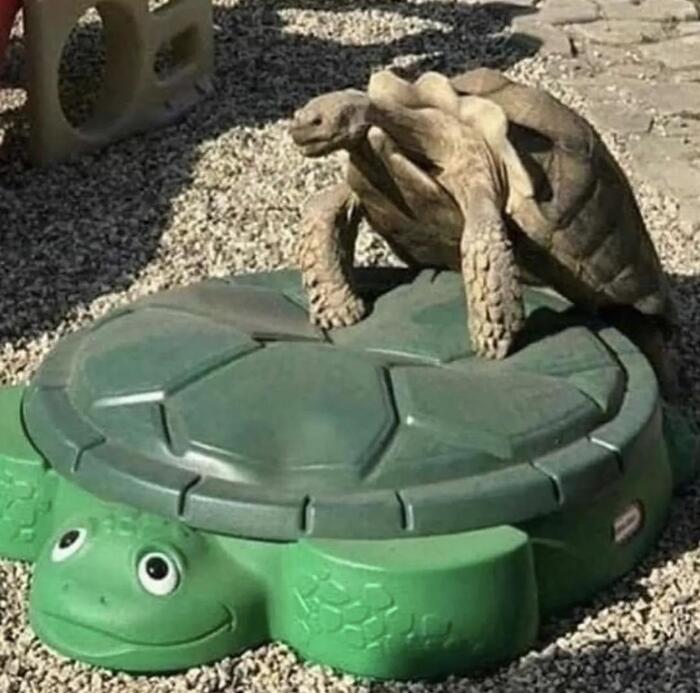 Медленно, но верно