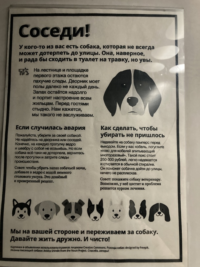 С заботой о чужой собаке-ссыкуне