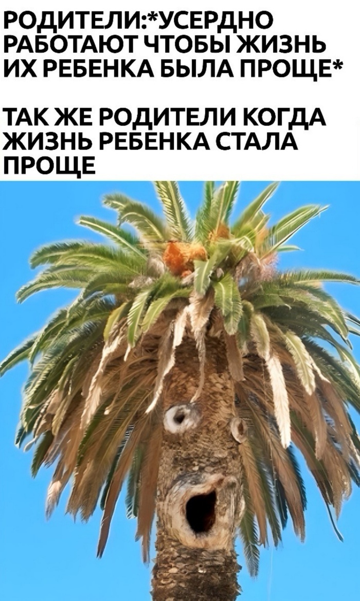    , , ,   ,   