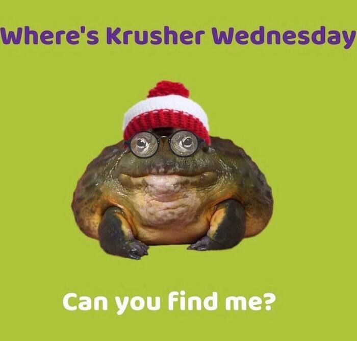   , ,   , It Is Wednesday My Dudes