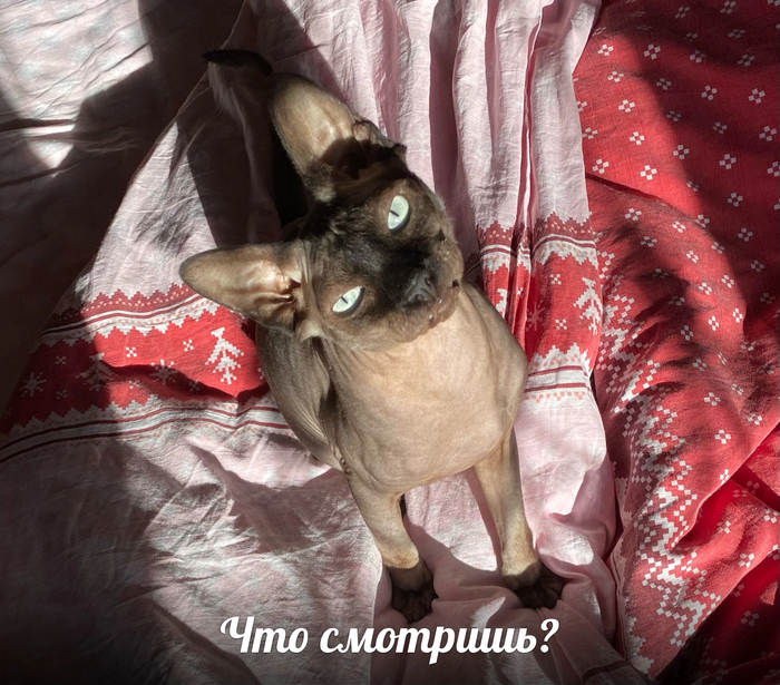     ,  , , 
