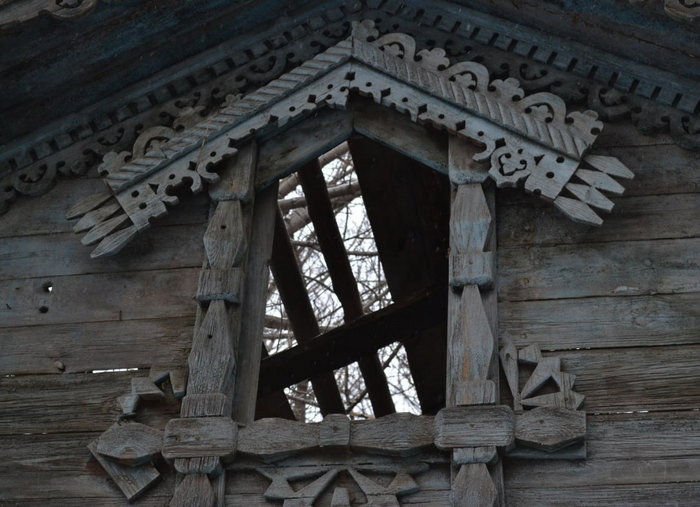 Род людской начинает быстро деградировать