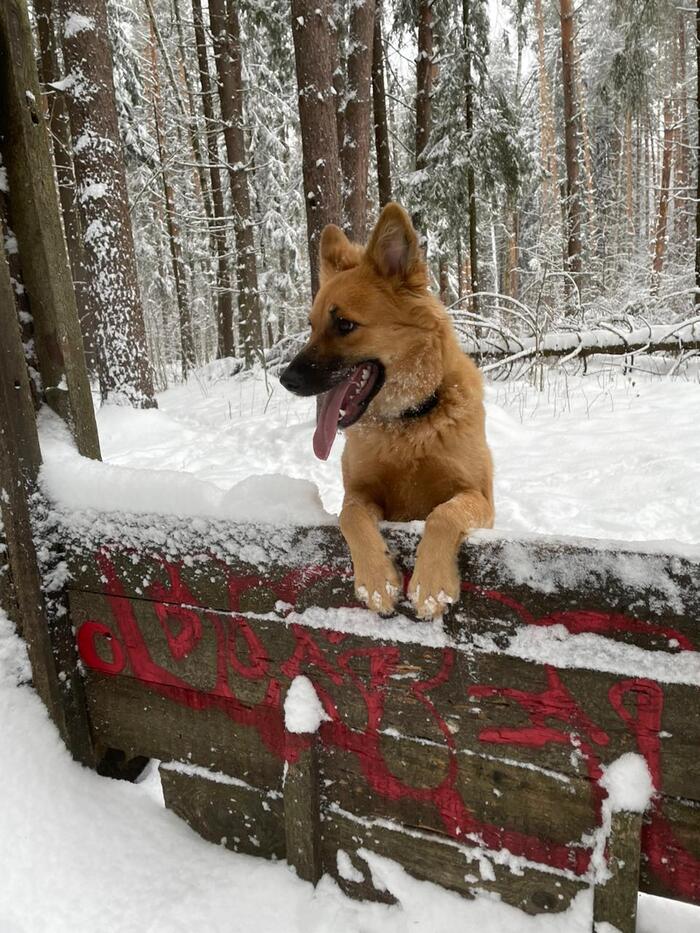 Из последних приобретений 2