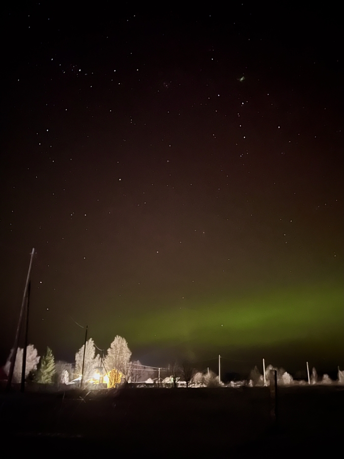 �������� ����