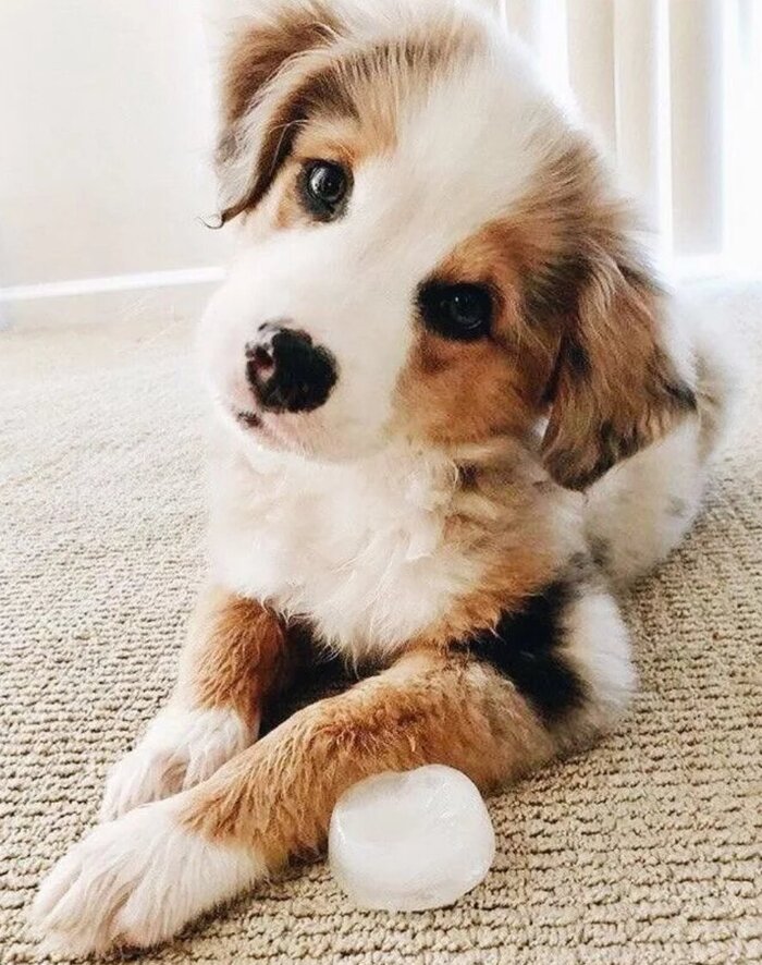 �� ����� ������...