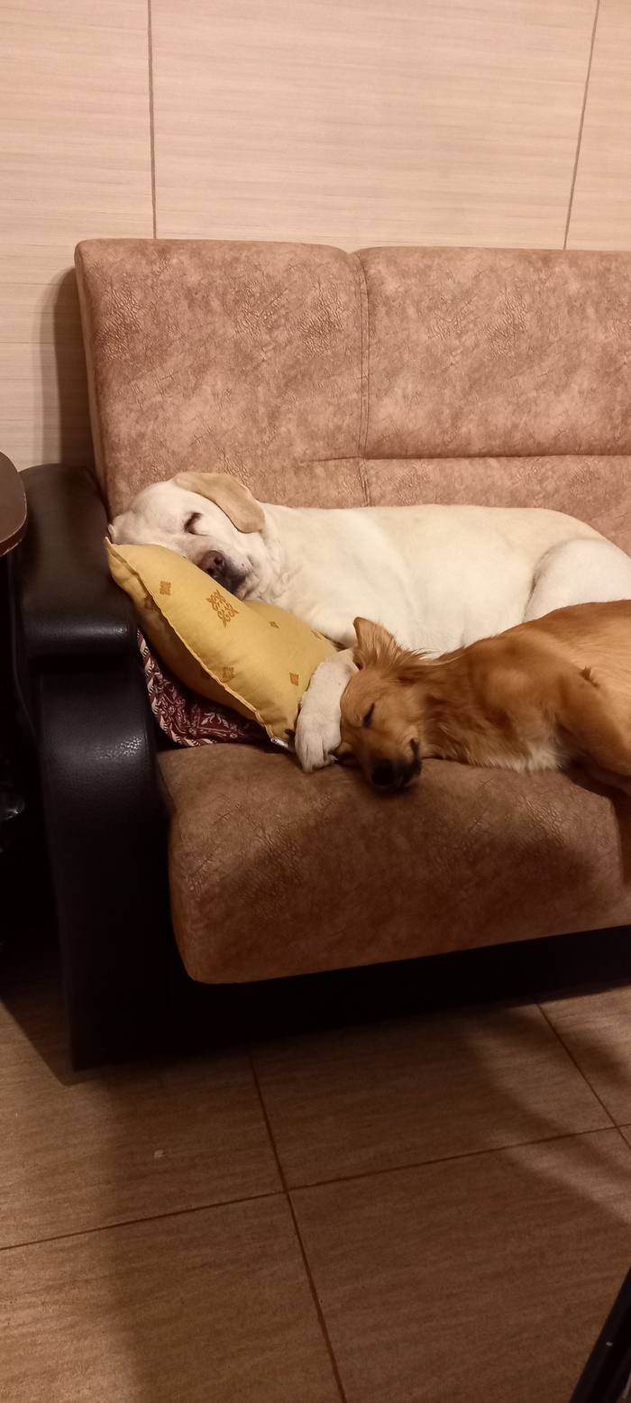 �������� ���