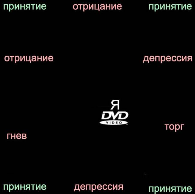   ,   , , DVD,  , ,  