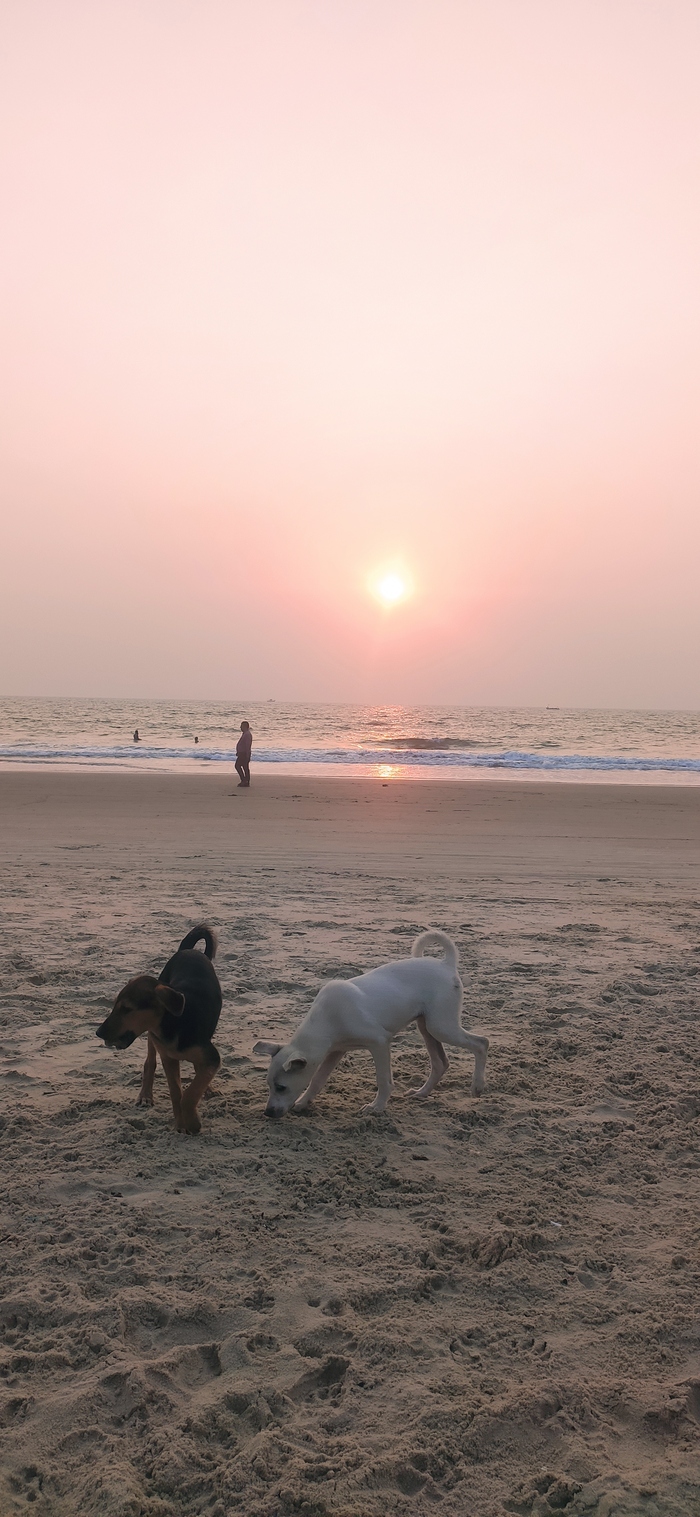 Sunset, ����� � �����