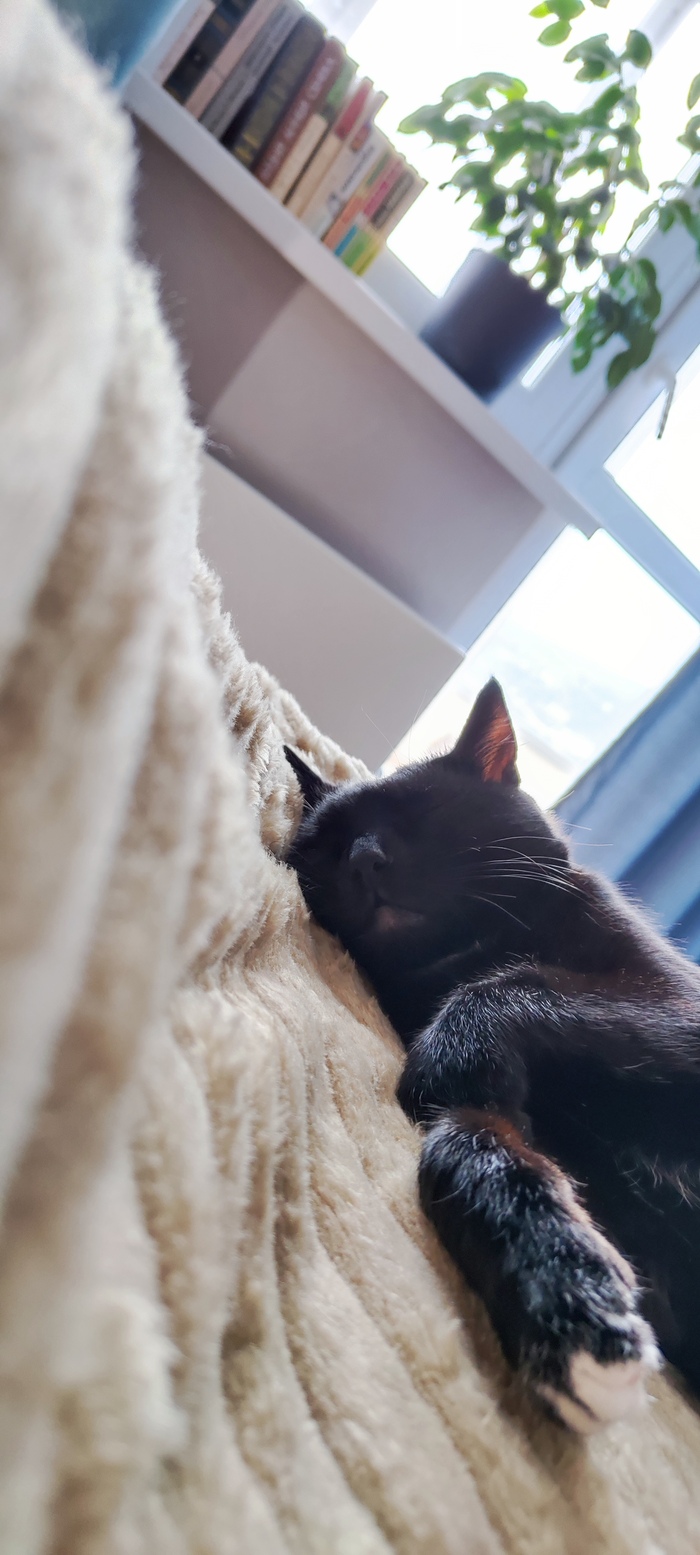 Пост-знакомство