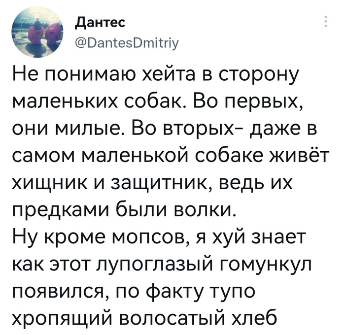   , , X (Twitter), , , ,  - Twitter, 