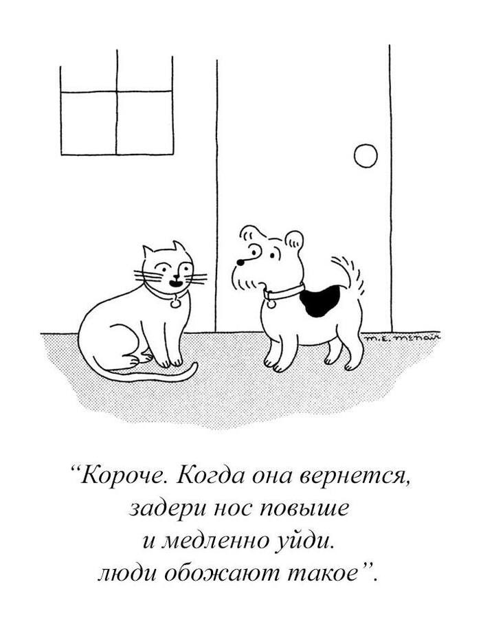 Котик плохому не научит