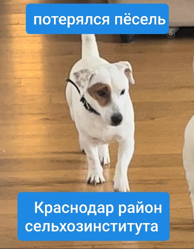 ���������� ������! [�������]