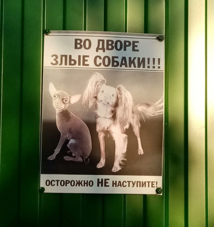      , , ,   , , 